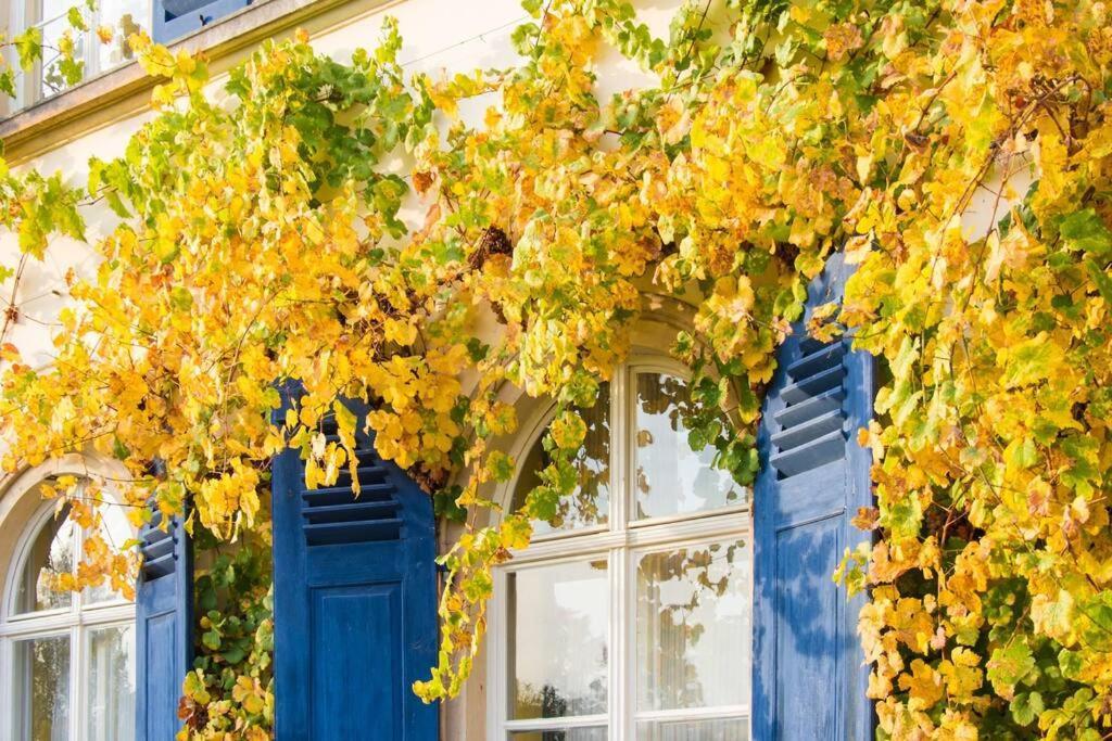 Tiny Haus Auf Idyllischem Grundstueck Im Rittergut Βίλα Klipphausen Εξωτερικό φωτογραφία